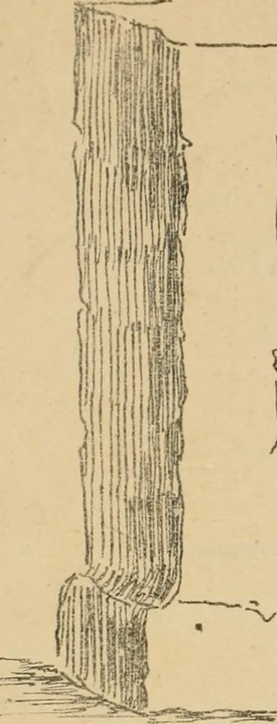 An illustration from Épigraphie romaine du Poitou [et] de la Saintonge, 1895, leaf 444