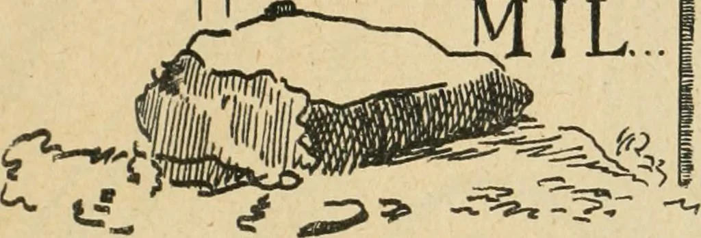 An illustration from Épigraphie romaine du Poitou [et] de la Saintonge, 1895, leaf 458