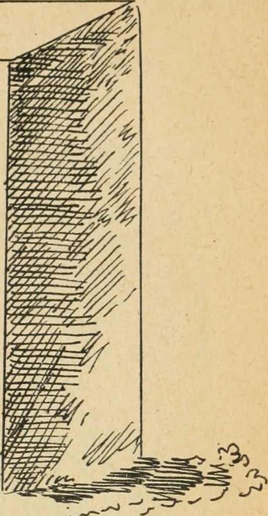 An illustration from Épigraphie romaine du Poitou [et] de la Saintonge, 1895, leaf 458