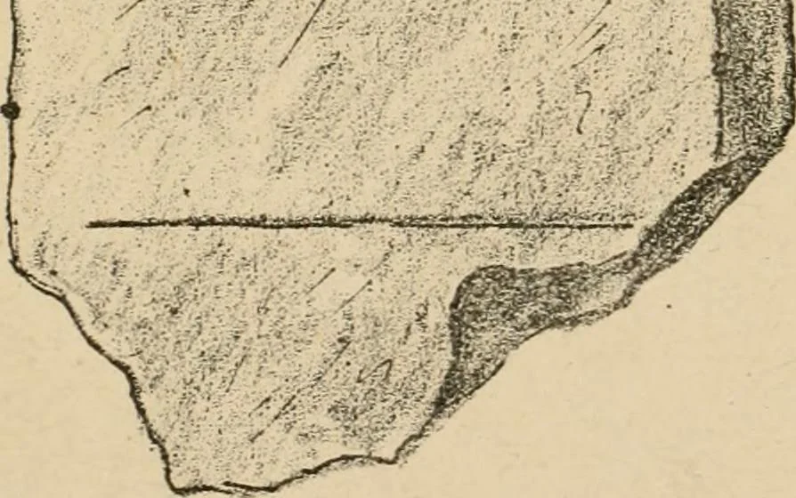 An illustration from Épigraphie romaine du Poitou [et] de la Saintonge, 1895, leaf 494