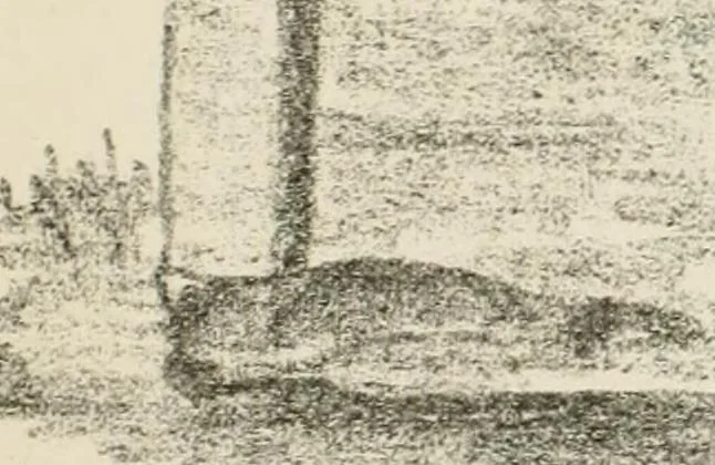 An illustration from Épigraphie romaine du Poitou [et] de la Saintonge, 1895, leaf 510