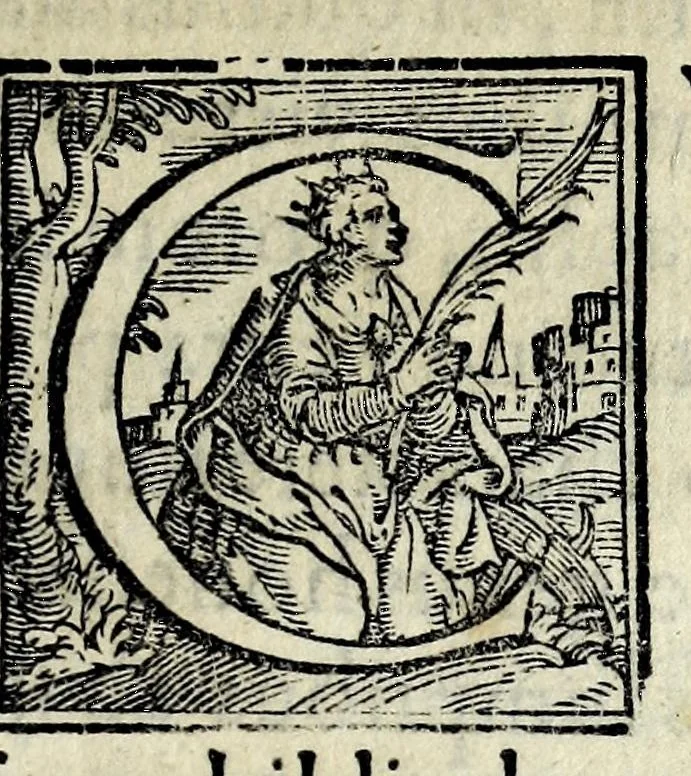 An illustration from Pii secvndi pontificis max. Commentarii rerum memorabilium, quae temporibus suis contigerunt, 1584, leaf 11