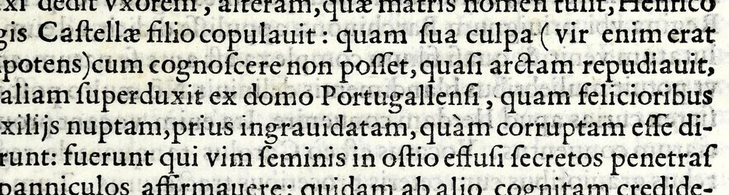 An illustration from Pii secvndi pontificis max. Commentarii rerum memorabilium, quae temporibus suis contigerunt, 1584, leaf 323