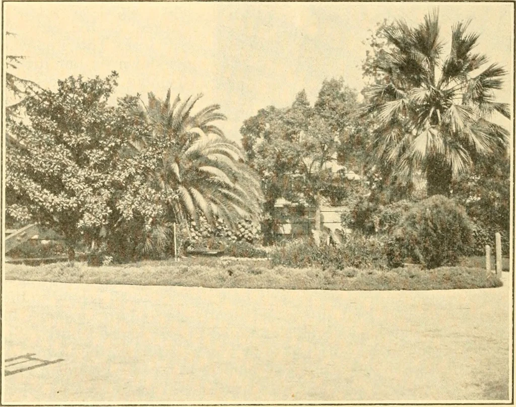 An illustration from Pilgrimage of Mary commandery no. 36, Knights templar of Pennsylvania to the Twenty-ninth triennial conclave of the Grand encampment U.S. at San Francisco, Cal, 1904, leaf 123