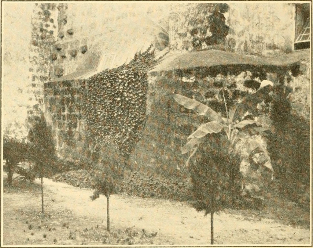 An illustration from Pilgrimage of Mary commandery no. 36, Knights templar of Pennsylvania to the Twenty-ninth triennial conclave of the Grand encampment U.S. at San Francisco, Cal, 1904, leaf 131