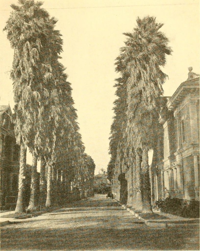 An illustration from Pilgrimage of Mary commandery no. 36, Knights templar of Pennsylvania to the Twenty-ninth triennial conclave of the Grand encampment U.S. at San Francisco, Cal, 1904, leaf 142