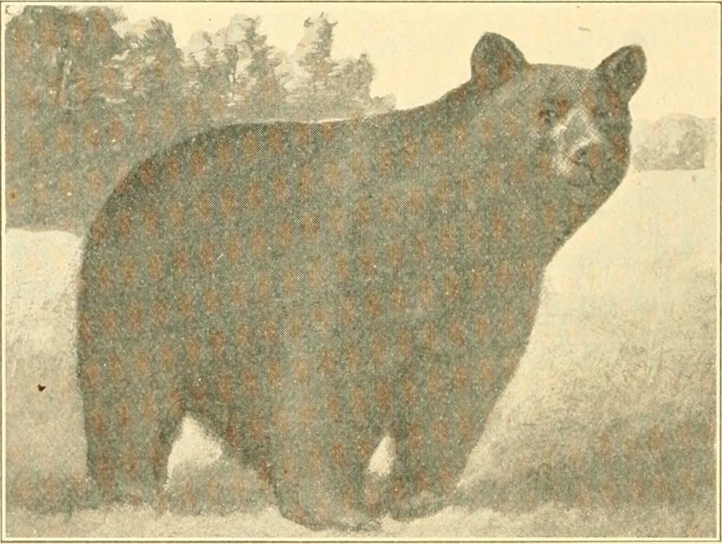 An illustration from Pilgrimage of Mary commandery no. 36, Knights templar of Pennsylvania to the Twenty-ninth triennial conclave of the Grand encampment U.S. at San Francisco, Cal, 1904, leaf 63
