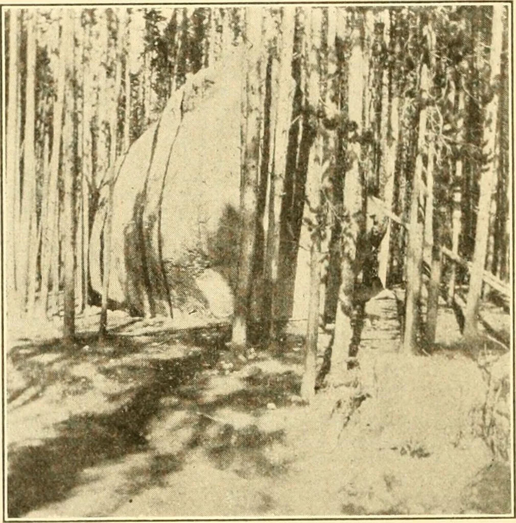 An illustration from Pilgrimage of Mary commandery no. 36, Knights templar of Pennsylvania to the Twenty-ninth triennial conclave of the Grand encampment U.S. at San Francisco, Cal, 1904, leaf 75