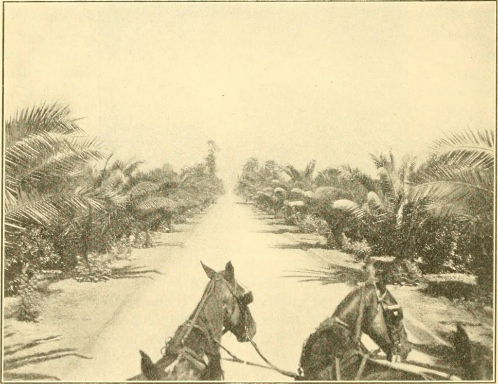 An illustration from Pilgrimage of Mary commandery no. 36, Knights templar of Pennsylvania to the Twenty-ninth triennial conclave of the Grand encampment U.S. at San Francisco, Cal, 1904, leaf 93