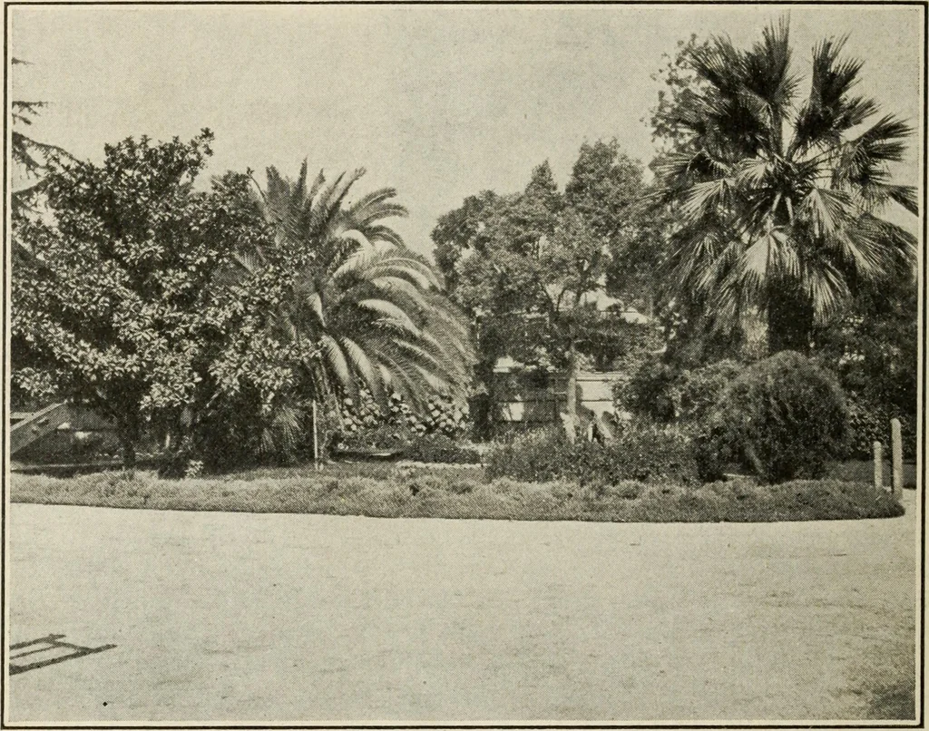 An illustration from Pilgrimage of Mary commandery no. 36, Knights templar of Pennsylvania to the Twenty-ninth triennial conclave of the Grand encampment U.S. at San Francisco, Cal, 1904, leaf 117