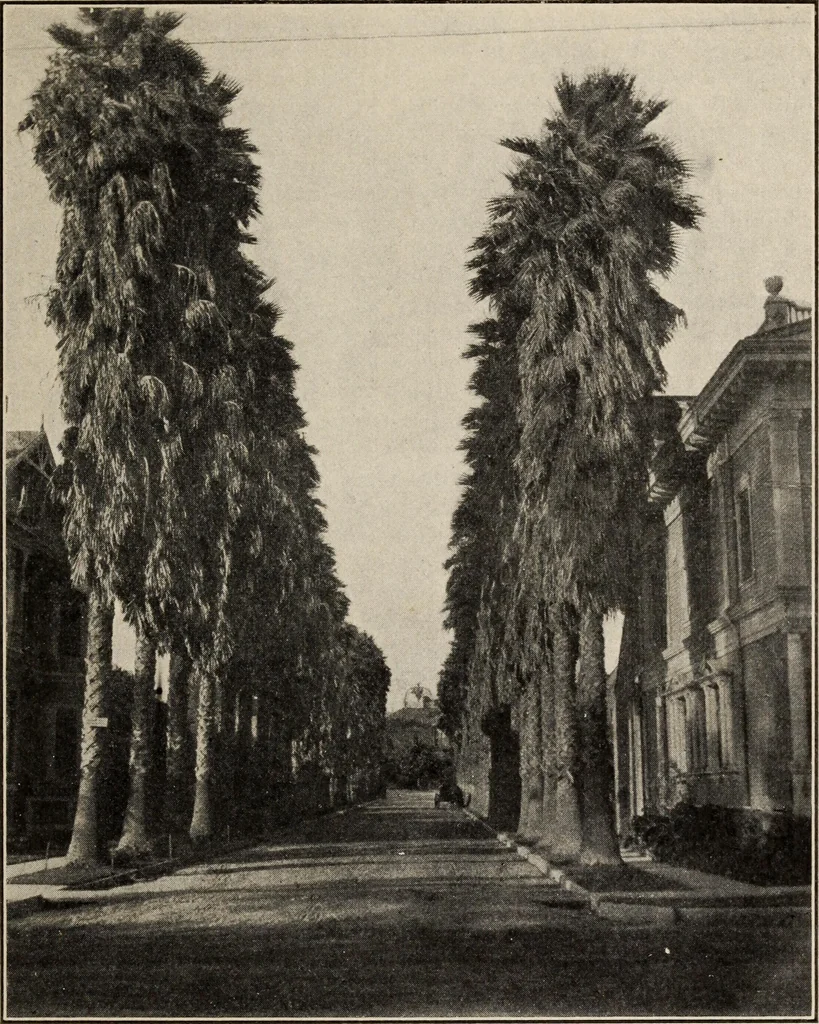An illustration from Pilgrimage of Mary commandery no. 36, Knights templar of Pennsylvania to the Twenty-ninth triennial conclave of the Grand encampment U.S. at San Francisco, Cal, 1904, leaf 136