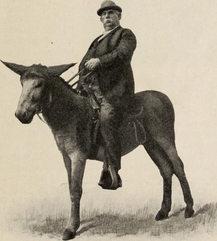 An illustration from Pilgrimage of Mary commandery no. 36, Knights templar of Pennsylvania to the Twenty-ninth triennial conclave of the Grand encampment U.S. at San Francisco, Cal, 1904, leaf 146