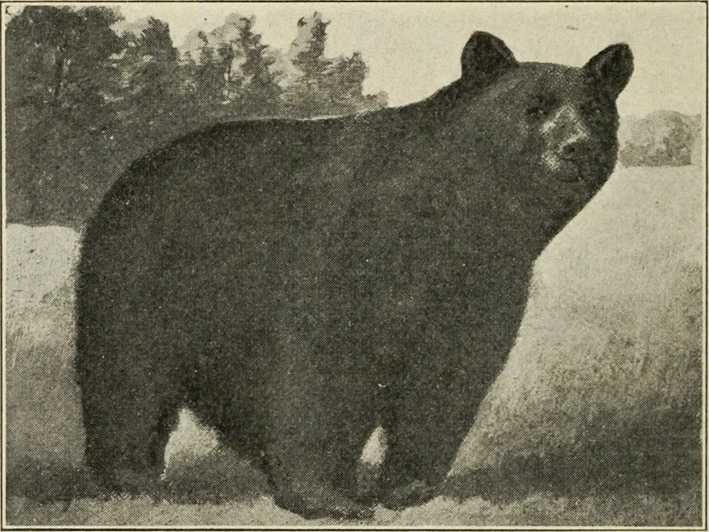 An illustration from Pilgrimage of Mary commandery no. 36, Knights templar of Pennsylvania to the Twenty-ninth triennial conclave of the Grand encampment U.S. at San Francisco, Cal, 1904, leaf 57