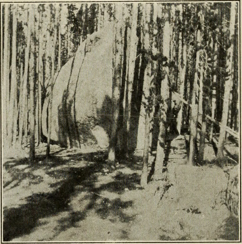 An illustration from Pilgrimage of Mary commandery no. 36, Knights templar of Pennsylvania to the Twenty-ninth triennial conclave of the Grand encampment U.S. at San Francisco, Cal, 1904, leaf 69
