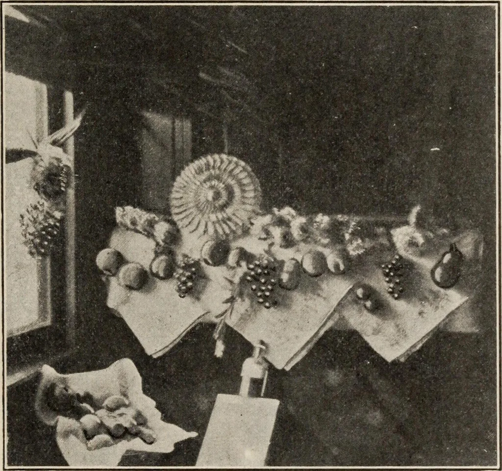 An illustration from Pilgrimage of Mary commandery no. 36, Knights templar of Pennsylvania to the Twenty-ninth triennial conclave of the Grand encampment U.S. at San Francisco, Cal, 1904, leaf 78