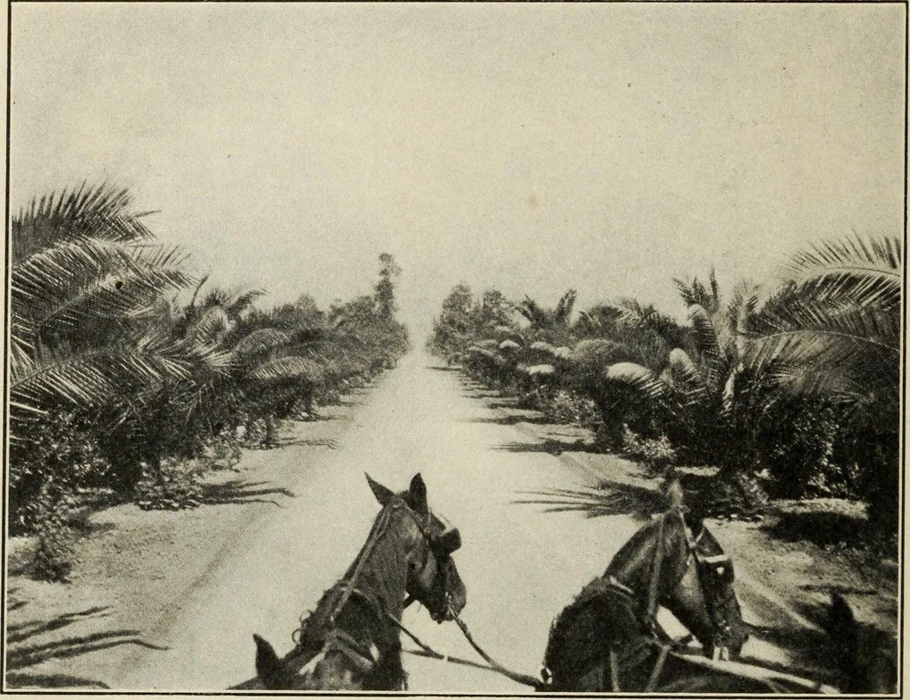 An illustration from Pilgrimage of Mary commandery no. 36, Knights templar of Pennsylvania to the Twenty-ninth triennial conclave of the Grand encampment U.S. at San Francisco, Cal, 1904, leaf 87