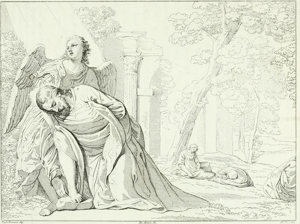 An illustration from Pinacoteca del Palazzo reale delle scienze e delle arti di Milano, 1812, leaf 224