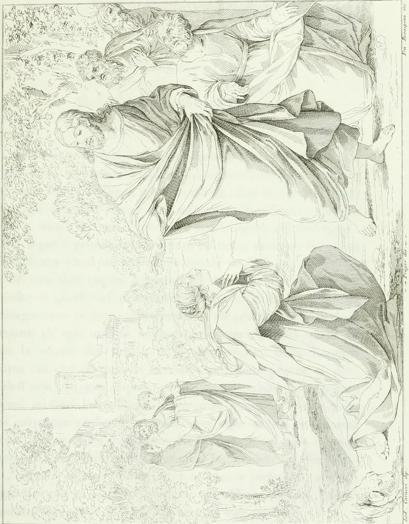 An illustration from Pinacoteca del Palazzo reale delle scienze e delle arti di Milano, 1812, leaf 248