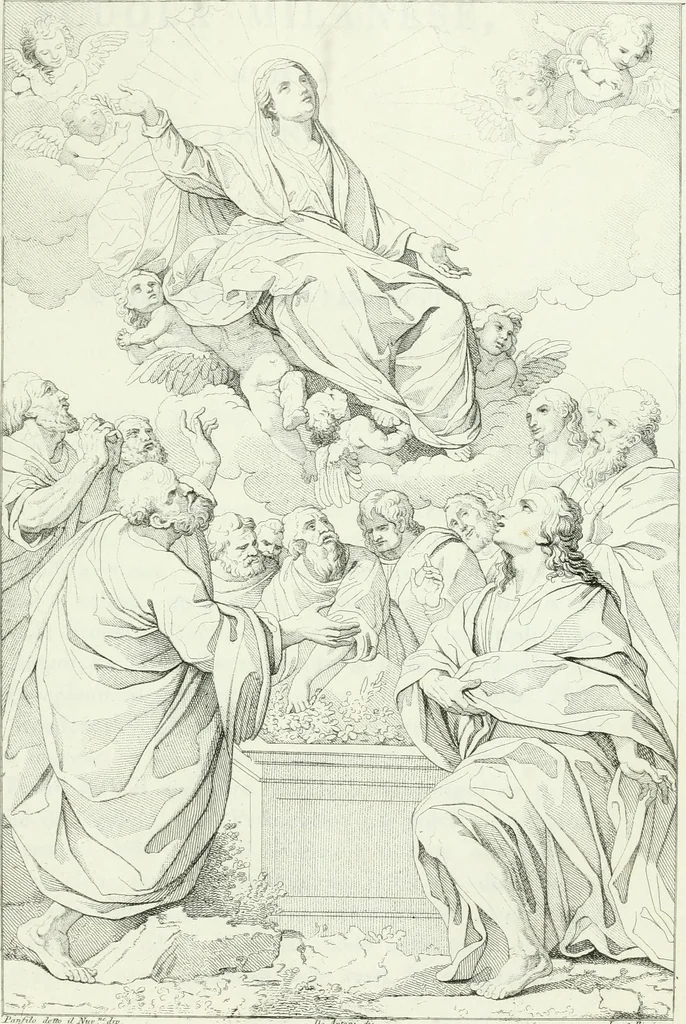 An illustration from Pinacoteca del Palazzo reale delle scienze e delle arti di Milano, 1812, leaf 46