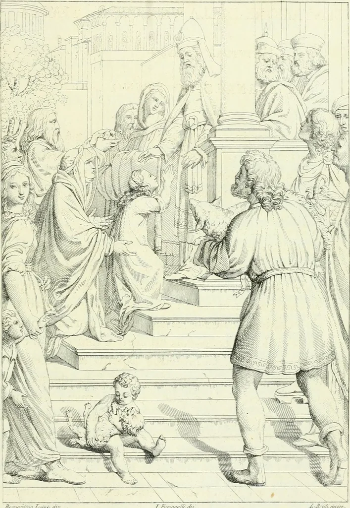 An illustration from Pinacoteca del Palazzo reale delle scienze e delle arti di Milano, 1812, leaf 82