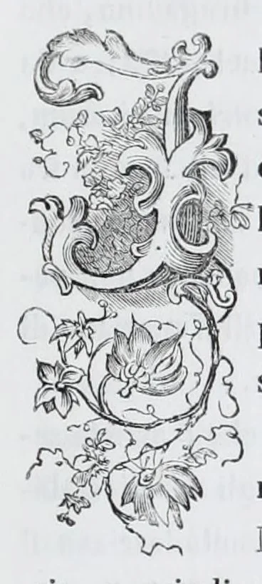 An illustration from Pinacoteca veneta, ossia, Raccolta dei migliori dipinti delle chiese di Venezia, 1858, leaf 215