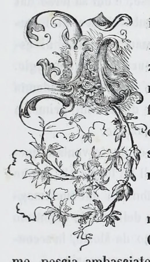 An illustration from Pinacoteca veneta, ossia, Raccolta dei migliori dipinti delle chiese di Venezia, 1858, leaf 223