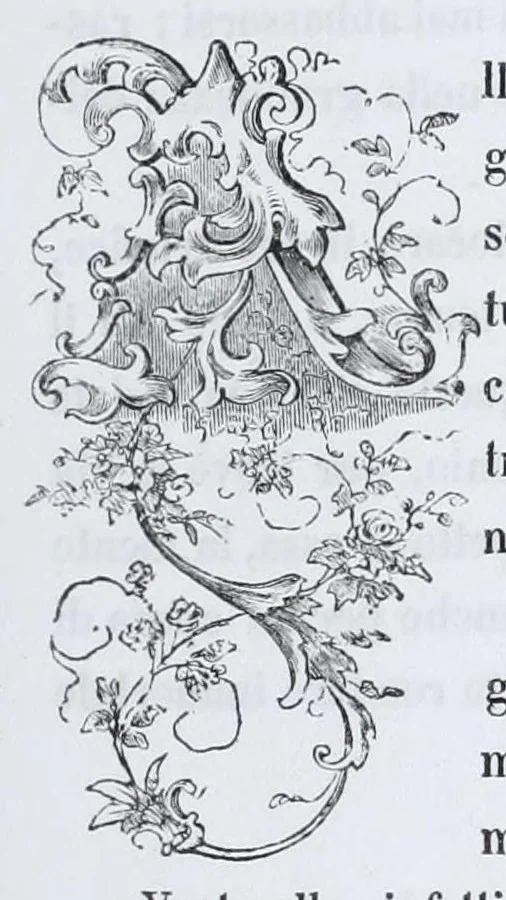 An illustration from Pinacoteca veneta, ossia, Raccolta dei migliori dipinti delle chiese di Venezia, 1858, leaf 41