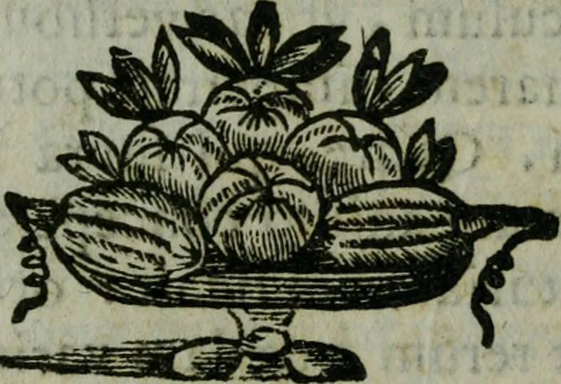 An illustration from Pinacotheca, siue, Romana pictura et sculptura, libri duo : in quibus excellentes quaedam, qua profanae, qua sacrae, quae Romae extant, picturae ac statuae, epigrammatis exornantur : accessit odarum appendicula, ad lyrici carminis libamentum, 1673, leaf 15