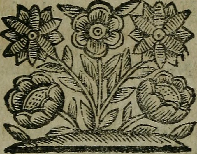 An illustration from Pinacotheca, siue, Romana pictura et sculptura, libri duo : in quibus excellentes quaedam, qua profanae, qua sacrae, quae Romae extant, picturae ac statuae, epigrammatis exornantur : accessit odarum appendicula, ad lyrici carminis libamentum, 1673, leaf 188