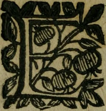 An illustration from Pinacotheca, siue, Romana pictura et sculptura, libri duo : in quibus excellentes quaedam, qua profanae, qua sacrae, quae Romae extant, picturae ac statuae, epigrammatis exornantur : accessit odarum appendicula, ad lyrici carminis libamentum, 1673, leaf 189