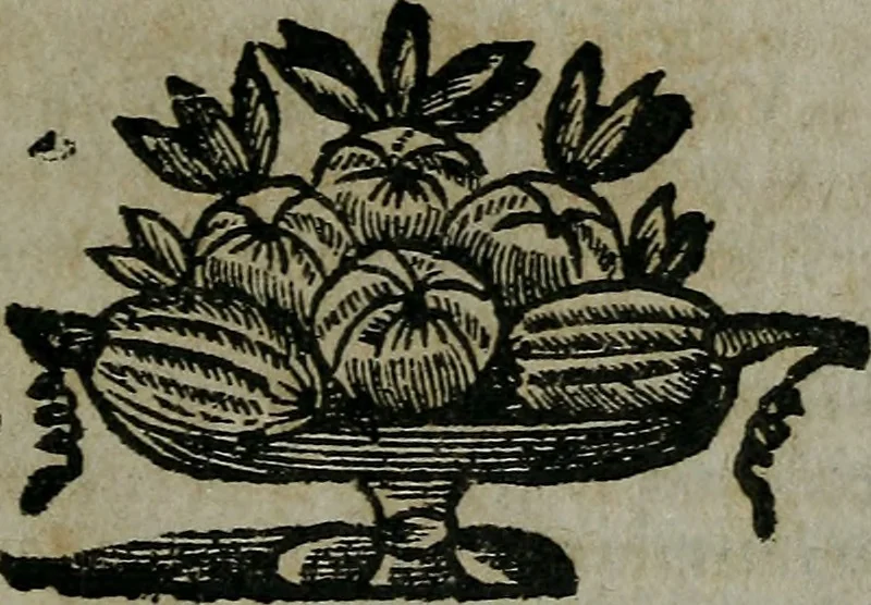 An illustration from Pinacotheca, siue, Romana pictura et sculptura, libri duo : in quibus excellentes quaedam, qua profanae, qua sacrae, quae Romae extant, picturae ac statuae, epigrammatis exornantur : accessit odarum appendicula, ad lyrici carminis libamentum, 1673, leaf 24