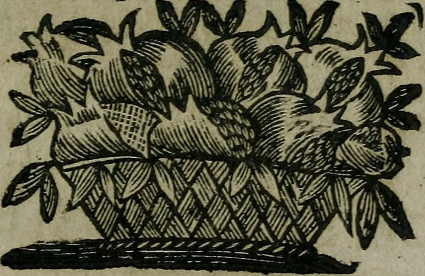 An illustration from Pinacotheca, siue, Romana pictura et sculptura, libri duo : in quibus excellentes quaedam, qua profanae, qua sacrae, quae Romae extant, picturae ac statuae, epigrammatis exornantur : accessit odarum appendicula, ad lyrici carminis libamentum, 1673, leaf 326