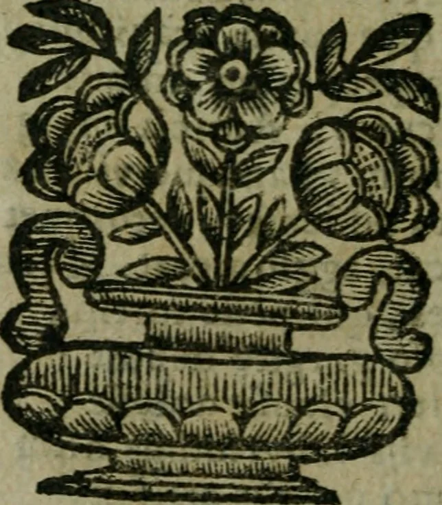 An illustration from Pinacotheca, siue, Romana pictura et sculptura, libri duo : in quibus excellentes quaedam, qua profanae, qua sacrae, quae Romae extant, picturae ac statuae, epigrammatis exornantur : accessit odarum appendicula, ad lyrici carminis libamentum, 1673, leaf 349