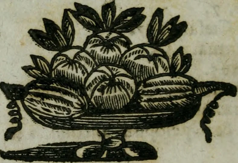 An illustration from Pinacotheca, siue, Romana pictura et sculptura, libri duo : in quibus excellentes quaedam, qua profanae, qua sacrae, quae Romae extant, picturae ac statuae, epigrammatis exornantur : accessit odarum appendicula, ad lyrici carminis libamentum, 1673, leaf 401