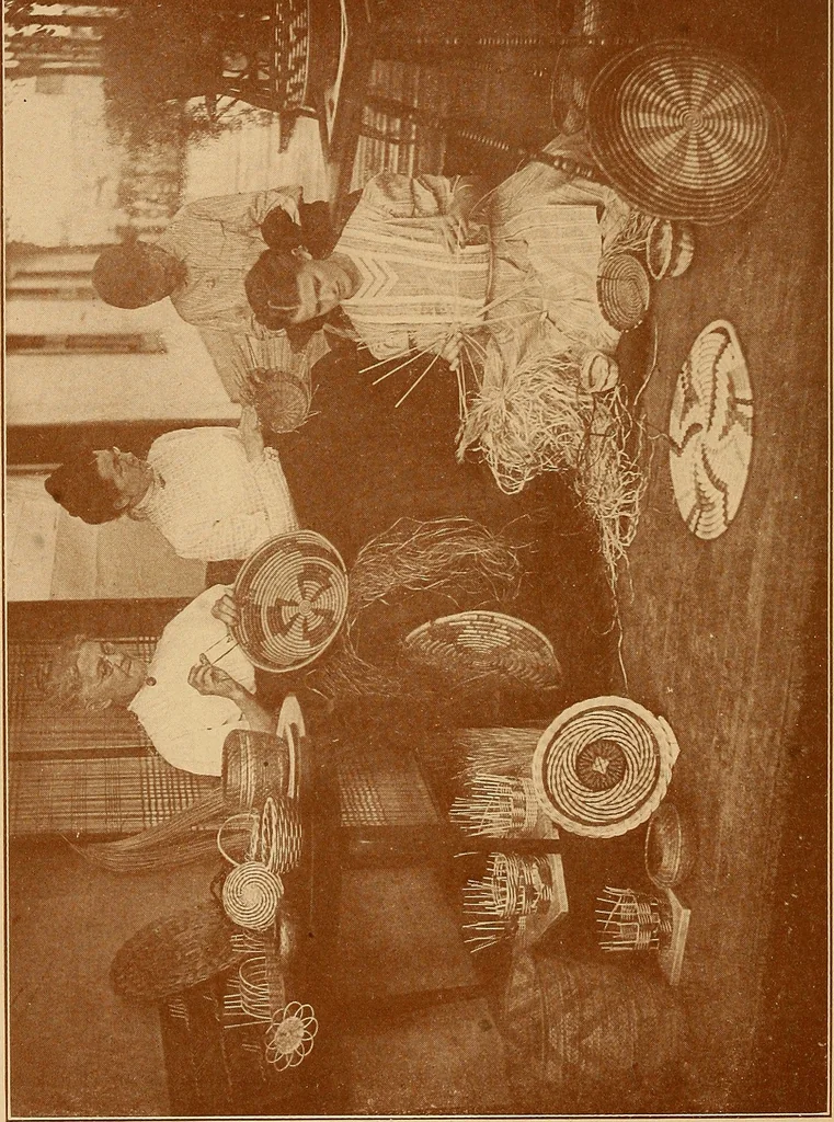 An illustration from The pine-needle basket book, 1911, leaf 25