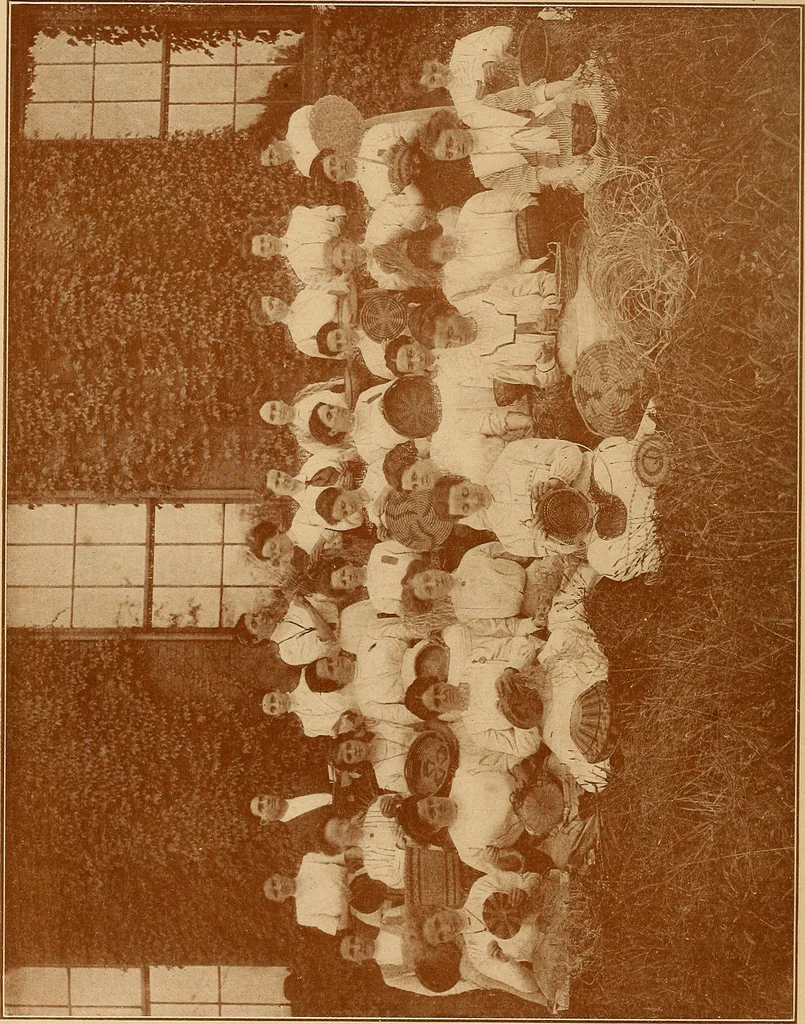 An illustration from The pine-needle basket book, 1911, leaf 27