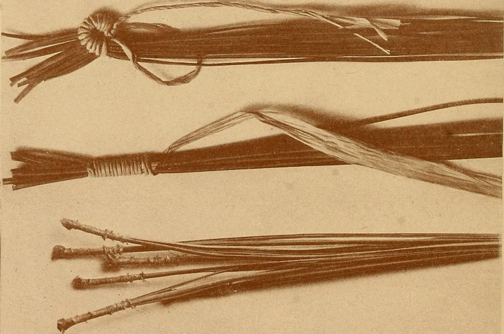 An illustration from The pine-needle basket book, 1911, leaf 29