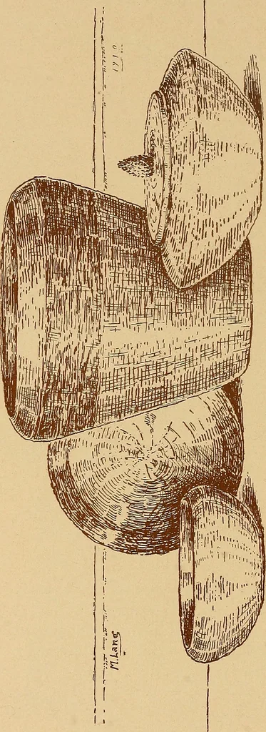 An illustration from The pine-needle basket book, 1911, leaf 33
