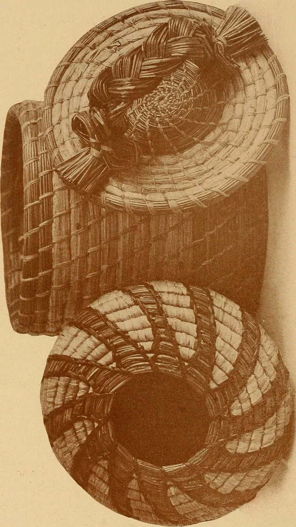 An illustration from The pine-needle basket book, 1911, leaf 35