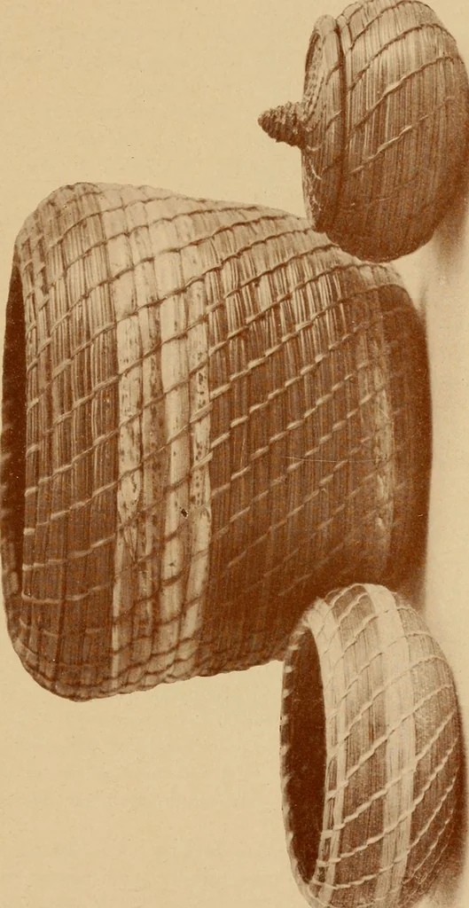 An illustration from The pine-needle basket book, 1911, leaf 38
