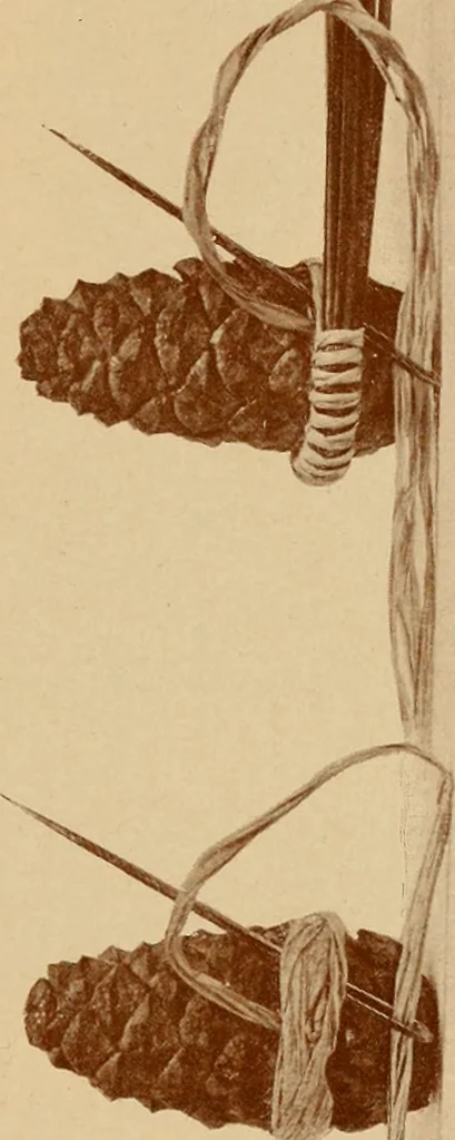 An illustration from The pine-needle basket book, 1911, leaf 40