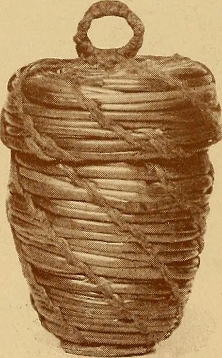 An illustration from The pine-needle basket book, 1911, leaf 43