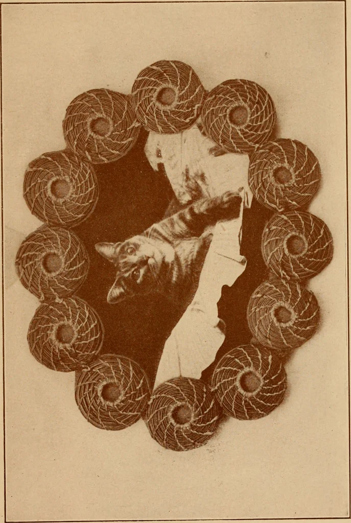 An illustration from The pine-needle basket book, 1911, leaf 44