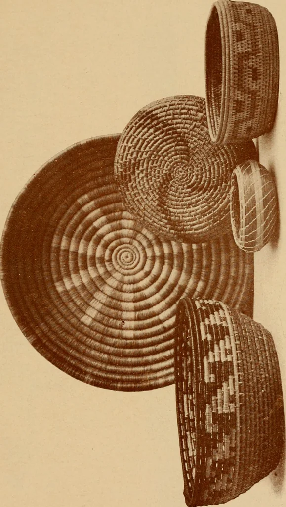 An illustration from The pine-needle basket book, 1911, leaf 46