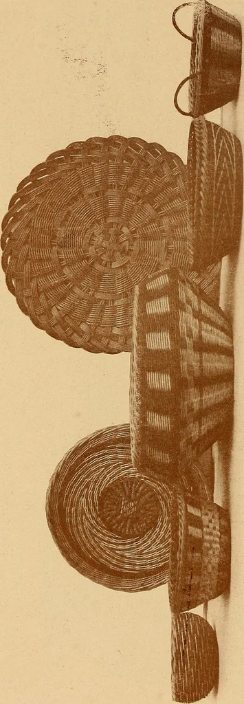An illustration from The pine-needle basket book, 1911, leaf 47