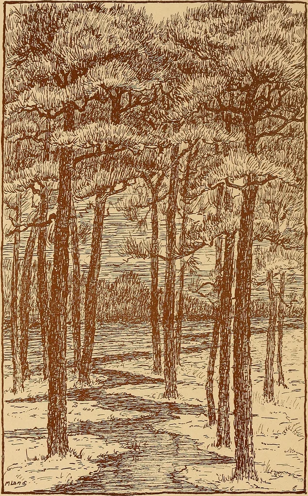 An illustration from The pine-needle basket book, 1911, leaf 9
