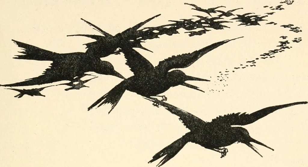 An illustration from Pinocchio : the tale of a puppet, 1911, leaf 134