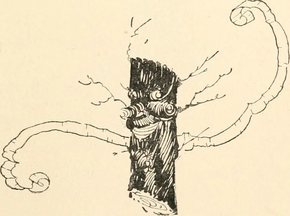 An illustration from Pinocchio : the tale of a puppet, 1911, leaf 32