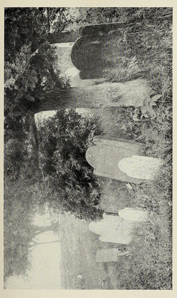An illustration from The pioneer mothers of America; a record of the more notable women of the early days of the country, and particularly of the colonial and revolutionary periods, by Harry Clinton Green and Mary Wolcott Green .., 1912, leaf 305
