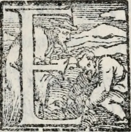 An illustration from Piovana comedia, overo noella del Tasco di Ruzante, 1552, leaf 41